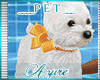 *A*Pup Fefe Swim FURNI