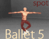 Ballet 5 - dance spot