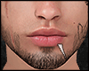 s. Beard Asteri Scar EF