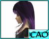 CAO Purple Fusion Alba