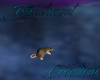 (T)Animated Rat