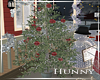 H. Live Christmas Tree