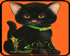 GATITO NEGRO