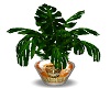 Potted Plant 2