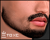 Tx Beard Asteri N.E 3