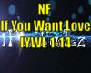 *NF Want Love*