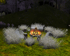 Winter Campfire Poses