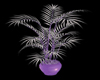 Lilac & Grey Palm