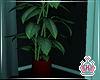 Vibin Plant V2