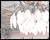 5C CHANDELIER