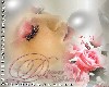 Dream ur Dreams