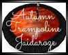 Autumn Trampoline