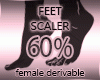 Scaler 60%