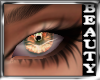 GOLDEN BEAUTY EYES@