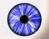 Saphire Blue Eyes