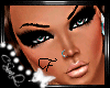 CSl Perfect Head Scaler