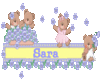 Sara - Bear sticker