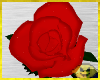 FR Belle Single Rose
