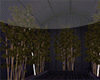 T-Plante night