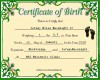 Jeremy Birth certificate