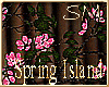 :SM:Spring_Plant