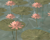 Forgotten Water Lilies