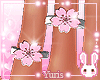 eSakura Ringse