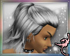 (IR)Warrior:Sandy Silver