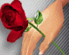 Animated Hand Rose