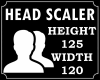 !! Head Scaler 125/120