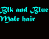 Black and Blue Male Hair