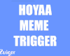 Hoyaa Meme