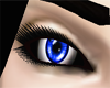 <L> dark blue eyes
