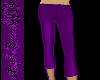 Capri pants in purple