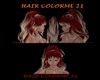 HAIR COLORME 21