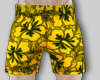 Island Swim Shorts