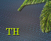 Tropical_Club_Neon