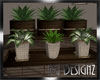 [BGD]Plant Set