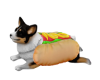 Corgyi Hotdog