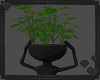 Fun Plant 2