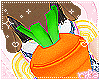 ʚ bunbun backpack ɞ