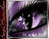 [B]Purple Wolf[Eyes]