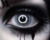 H. Halloween 33