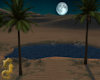 Desert Peace