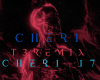 Cheri Cheri Lady