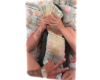 Money Cutout