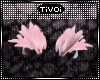 Jess~ Povly" Tuff| V3
