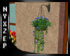 ! Hanging Basket Flowers