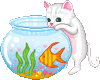 Cat fish