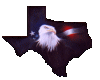 Texas Eagle